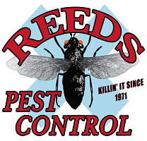 Reeds Pest Control